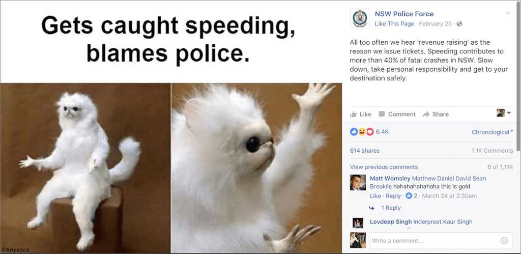 nswpolice